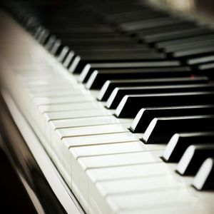 大扔子晃来晃去全文免费阅读
