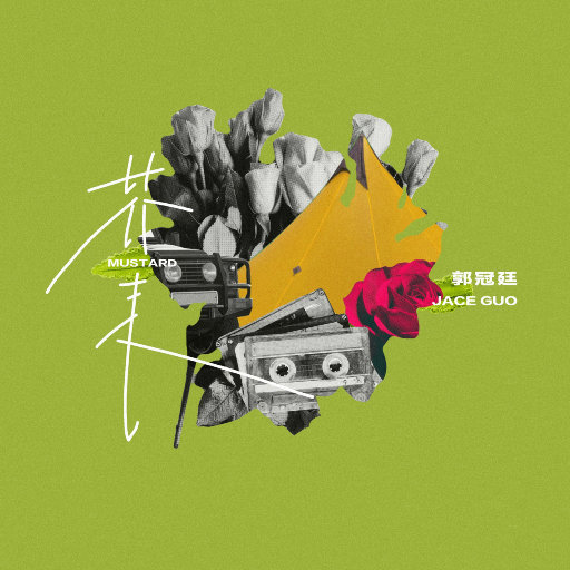 大扔子晃来晃去全文免费阅读
